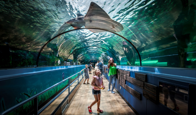 今年冬天，我想去这里过夏天