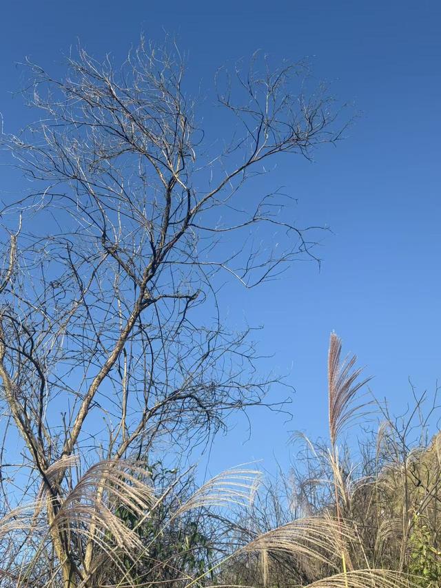 人过五十才明白：有些人，不必原谅