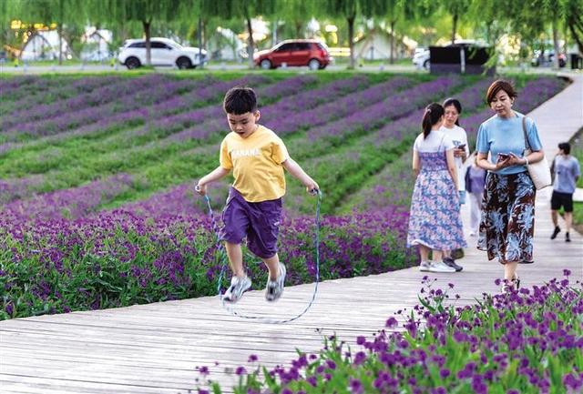 呼和浩特：初秋时节花正艳！来大黑河郊野公园与花海赴一场约会吧