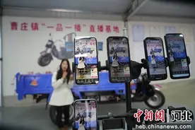 高端媒体看邯郸丨河北鸡泽“一品一播”激活产业新动能图片