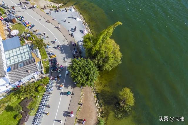 龙龛码头太有名，每天有很多人过来拍婚纱，但他们却不知道夫妻树