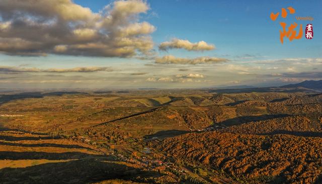 【小陇画报·428期】秋日康乐 每一步都走在金色油画里
