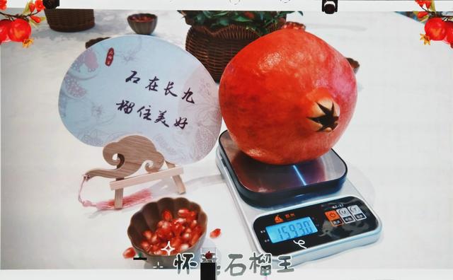 榴香怀远 宴遇金秋