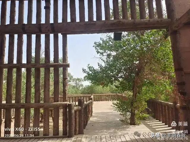 探秘新疆巴楚红海景区：自然与人文的交响｜ 申艳娟