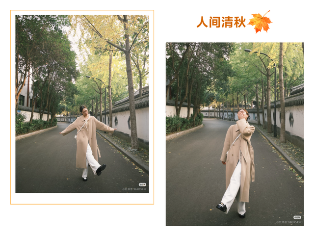 临沂免费赏秋好去处，错过你将后悔一整年！