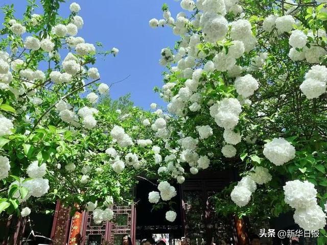 读诗词游水韵江苏｜“世界文学之都”寻古探幽