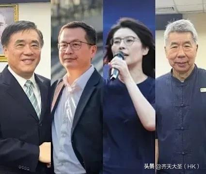 国民党主席四大候选人都有哪些优劣势