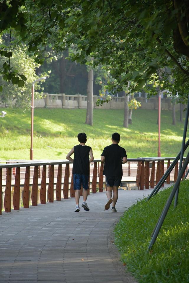 深活指南｜“我宣布，深圳的夏日就是大型养生局”