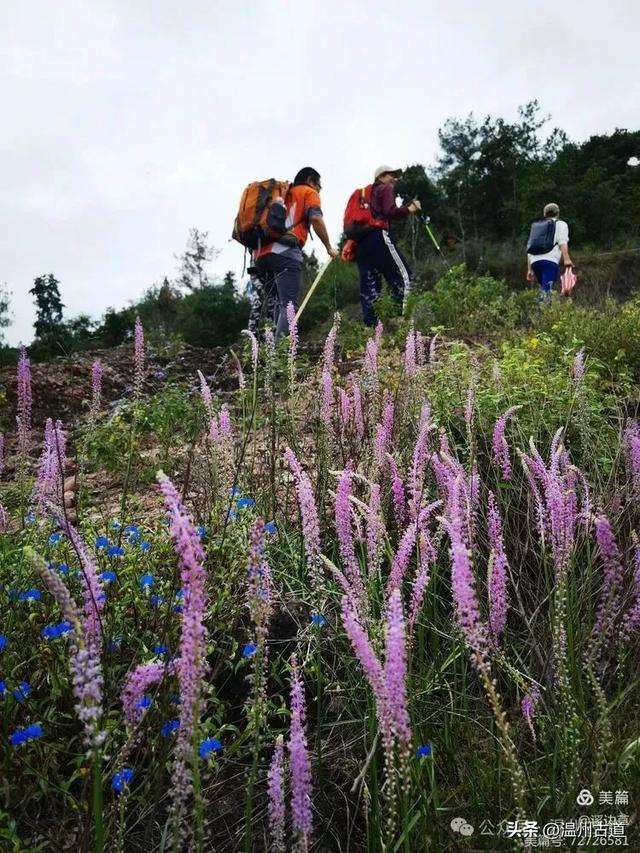 浙江这条风光奇绝适合新手小白的徒步线路，值得推荐！