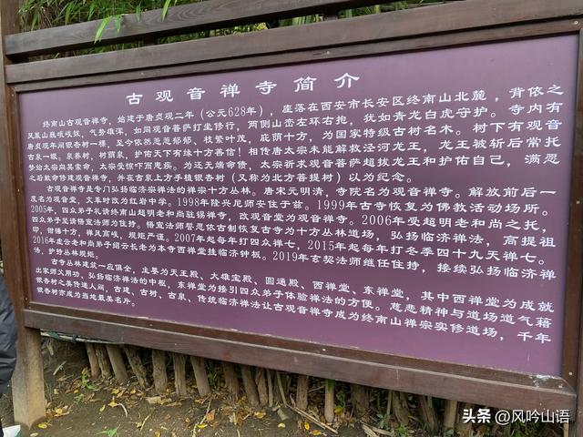 游古观音禅寺，观千年银杏树