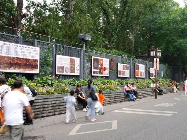 “花漾”漫染千年古道！模式口以繁花织就京西生态人文画卷