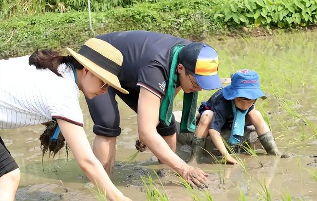 霍震霆没想到，儿媳郭晶晶再次官宣喜讯，让整个富太圈沉默
