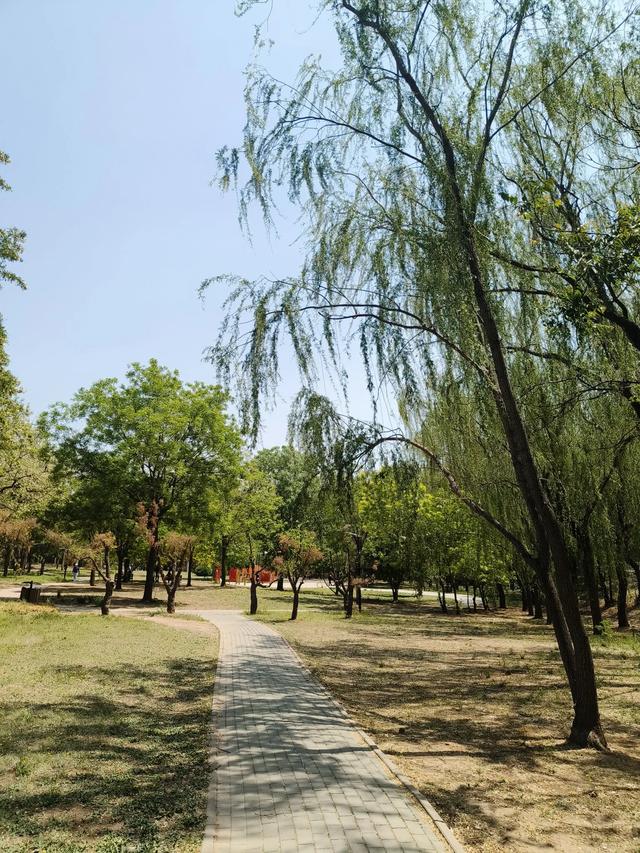 天津《复兴河公园》