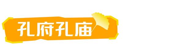 山东:时至初冬,银杏正当时