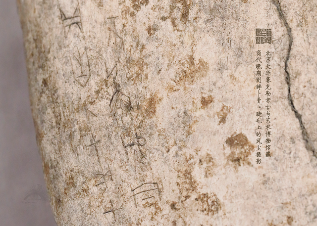 北京大学馆藏探秘：商代晚期刻辞卜骨，解锁千年占卜密码