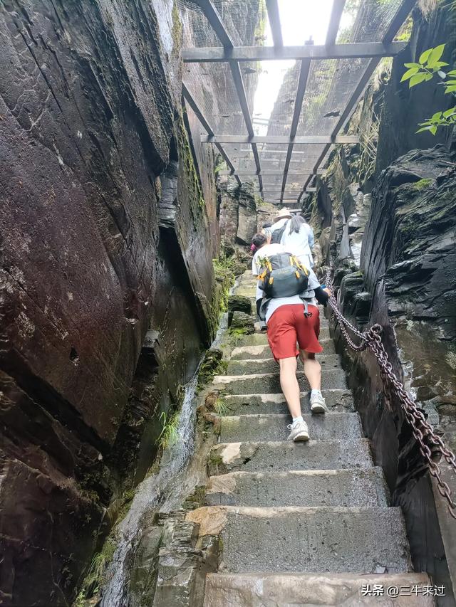 无为在歧路，贵州六日行（15）～梵净山