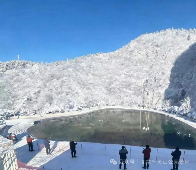 赴王佐冰雪之约！三大秘境解锁冬日限定欢乐