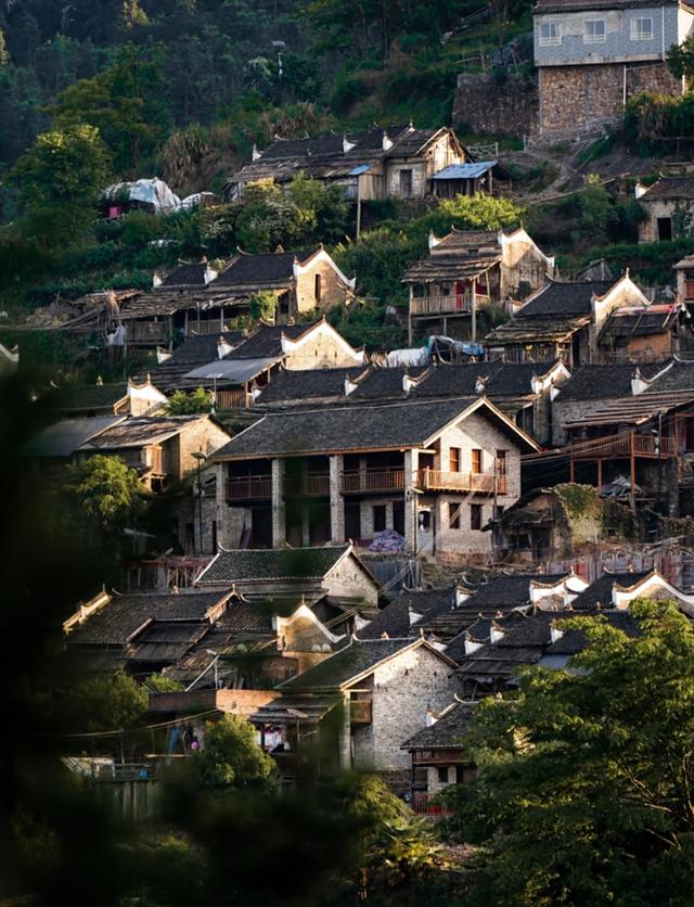 清远深秋十大免费打卡地，邂逅岭南最美金黄秘境！