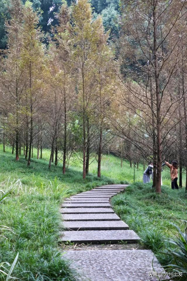 在泸州,我真的很羡慕住在老城区的人!