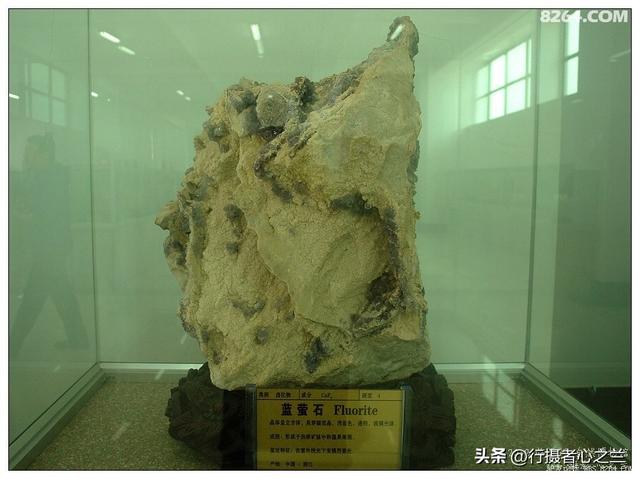 山东行游影记（31）—平邑天宇自然博物馆（六）