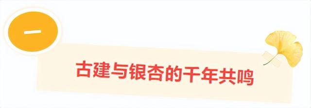 此刻的临沂，把清欢藏进风景里