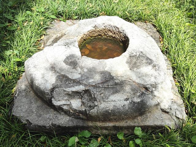 别再去西园寺人挤人了！苏州闹市中的免费小众古寺