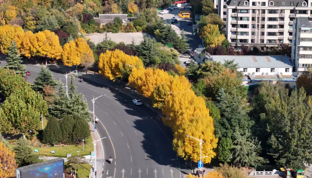 千万别在秋天来泰安，不然真的很难戒断
