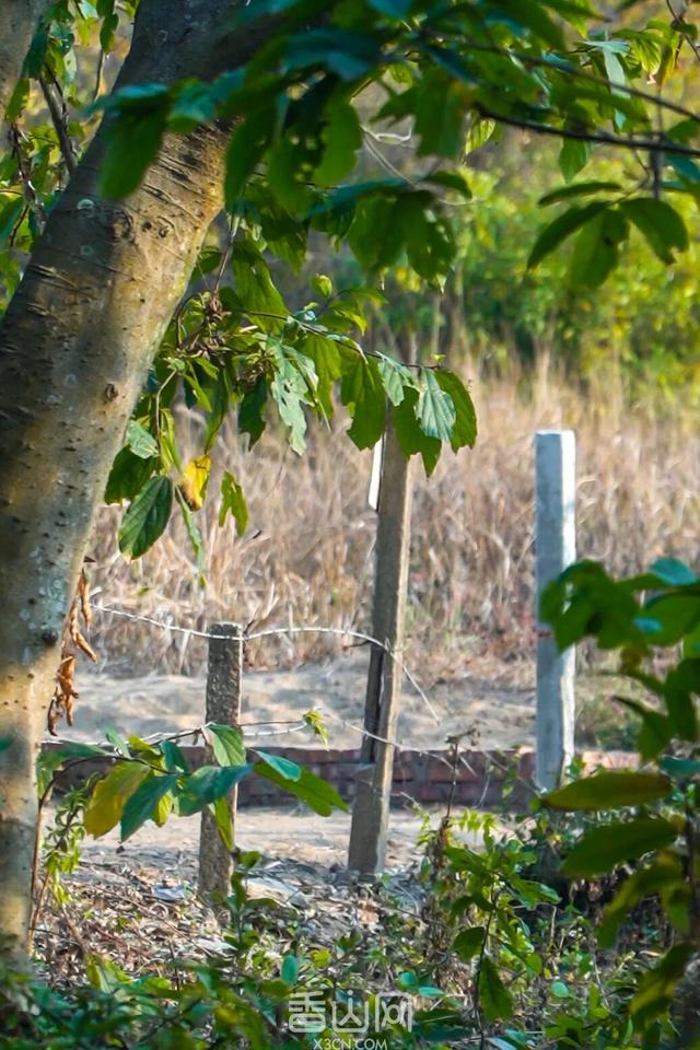 珠海5000年沙丘遗址秘境，免费开放！