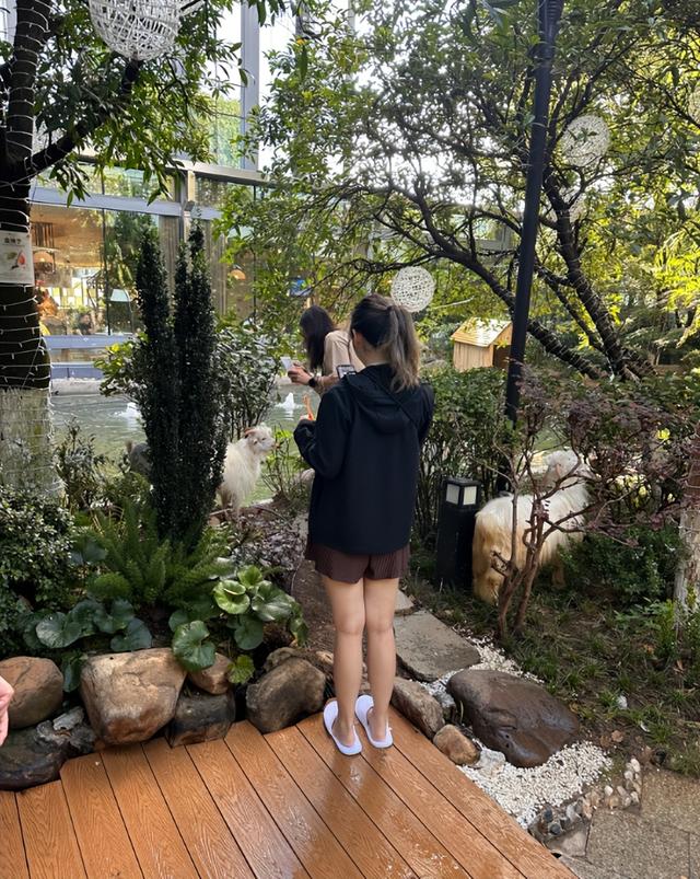 萌宠互动 + 花园美食！贵阳铂尔曼大酒店新场景点燃南明秋季文旅市场