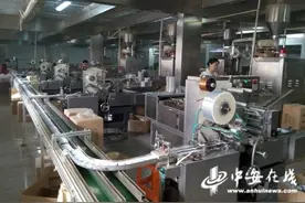 黄山的这片叶子何以“香飘”全球图片