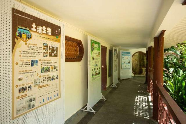 双节“趣”深圳：公园藏满限定玩法，不出深都有多样体验
