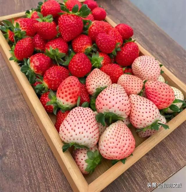 别再问昆明哪里能摘草莓了！收下这份采摘地图，直接抄作业→