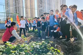 田间拾趣 感受收获和喜悦——南宁市滨湖路小学教育集团英华校区农耕体验劳动教育实践活动图片