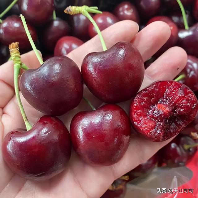 樱桃品种排名前十，哪种甜又好吃？