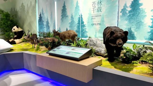 下雨？正好！来汉中，赴一场“室内文化漫游”~