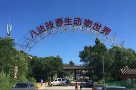 动物园老虎咬人事件过去8年，索赔155万失败的赵菁，现状凄惨图片