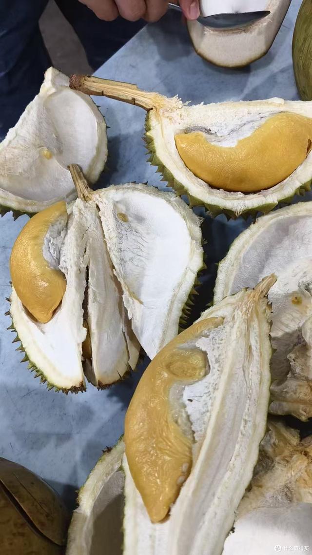 马来西亚亲子三日游，高性价比、中文友好、安全无忧的夏日之选！