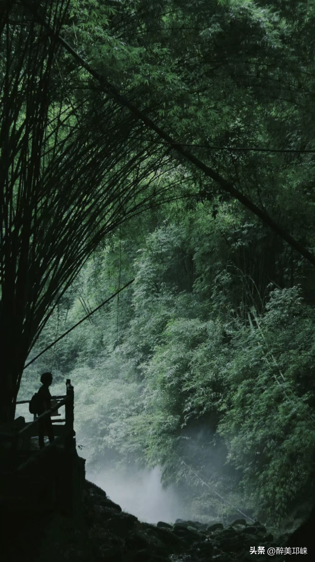 聆听邛崃丨漫步川西竹海秋日仙境