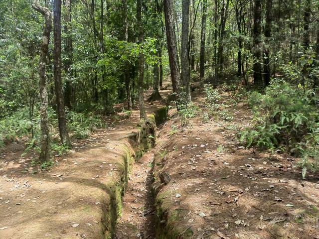 在保山观光旅游