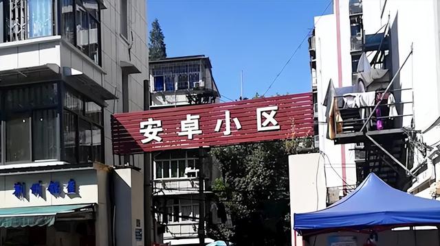 网红发明的“苹果人”“安卓人”概念火了：“安卓”竟然成脏话了