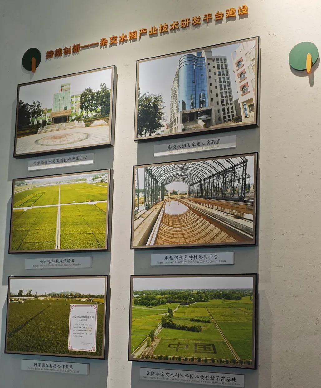 连休6天!郫都四大文博“趣”处,解锁春假正确打开方式插图13 连休6天!郫都四大文博“趣”处,解锁春假正确打开方式插图13