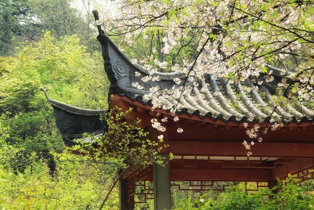 南京这些小众公园被严重低估了，人少景美还免费，看看你去过几个