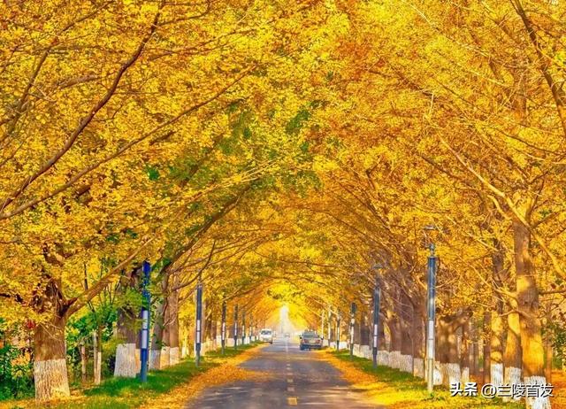 好客山东好品山东| 临沂的秋天，这10处绝美打卡地别错过！先收藏慢慢逛~