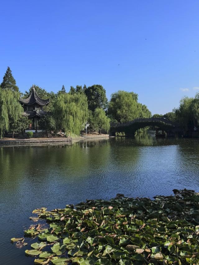 刚从宁波回来，毫不客气的说，宁波就是全国郊区城建天花板！