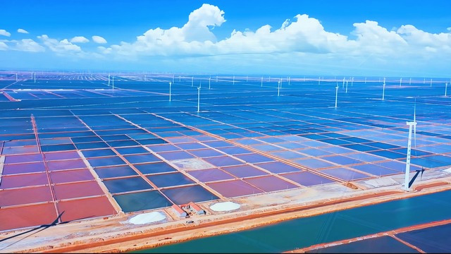 沿着黄河遇见海 | 沾化：河海相约处，邂逅一颗璀璨明珠