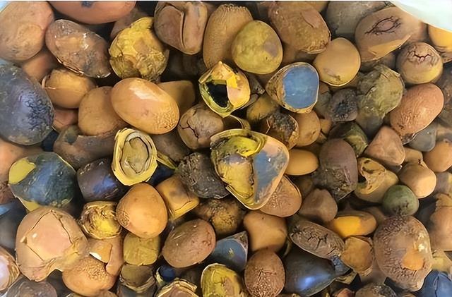 比黄金还贵！1公斤卖165万，之前在农村被当成垃圾，为何现在暴涨