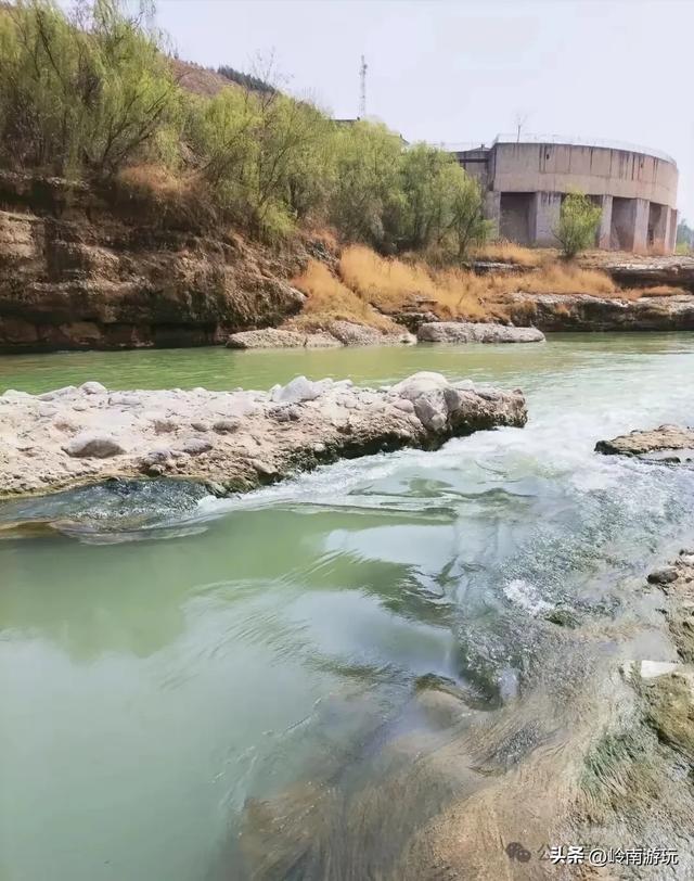 礼泉湾里村，有一半西安人都去“日韩干”了!