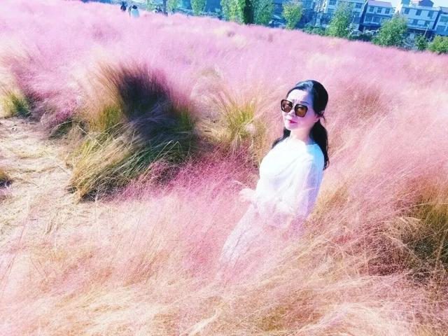 如约而至！桃花源里的浪漫粉黛你拍了吗~