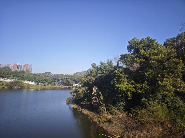 龙华新“骑”点，奔向2026骑行随拍1129