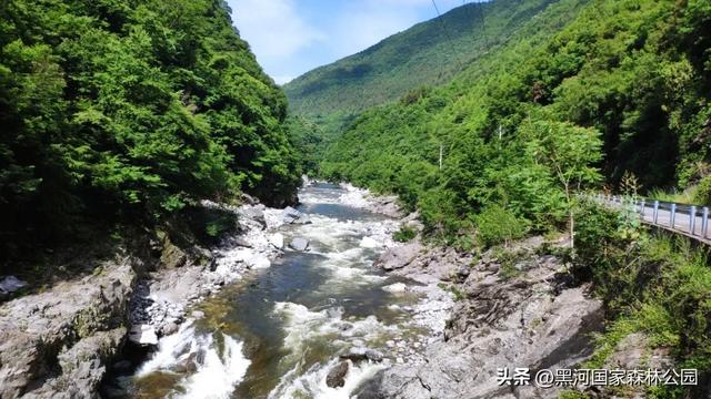 进山纳凉来黑河国家森林公园，让你逃离酷暑，一键降温！